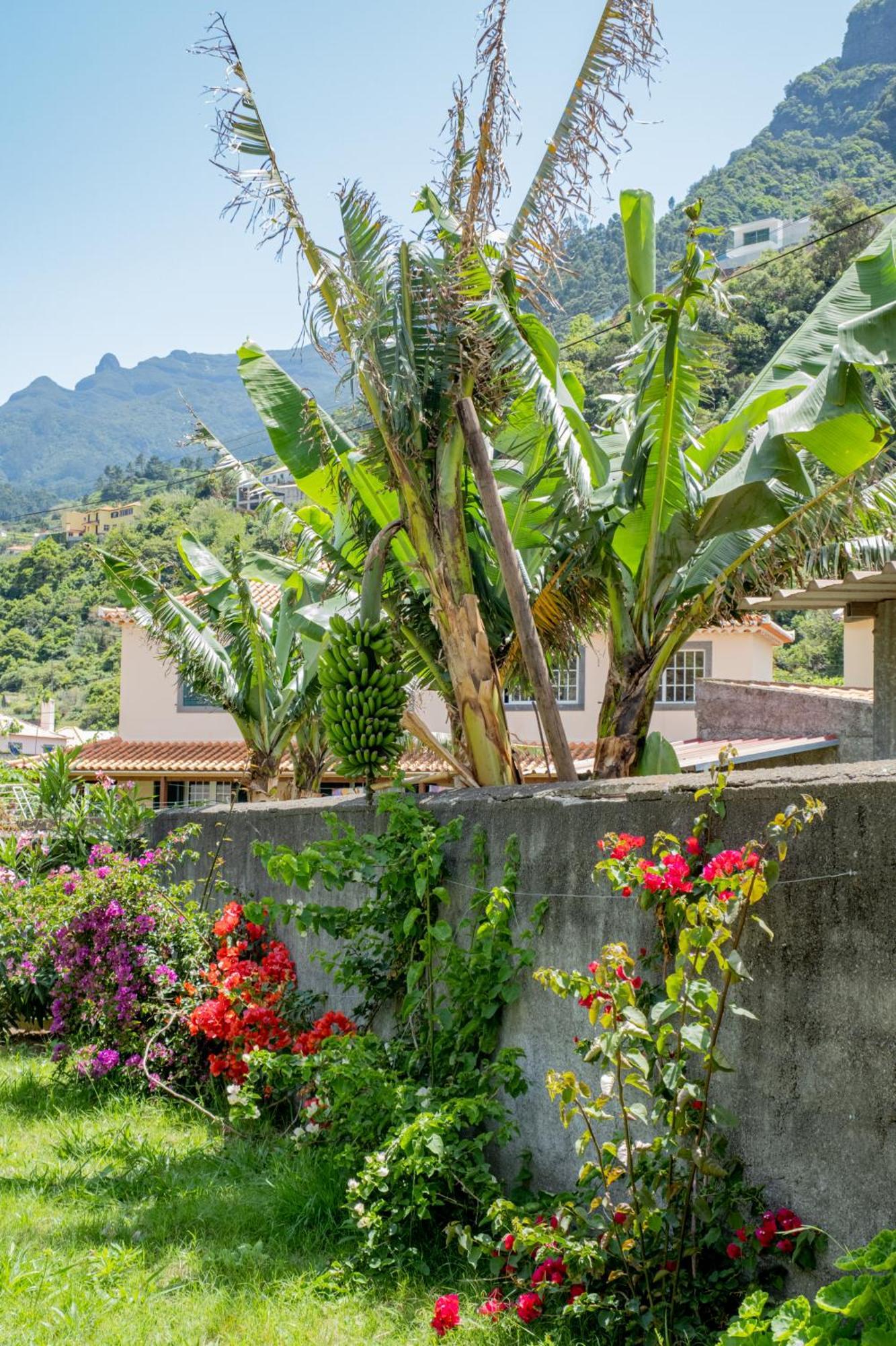 Sao Vicente Guest House Esterno foto
