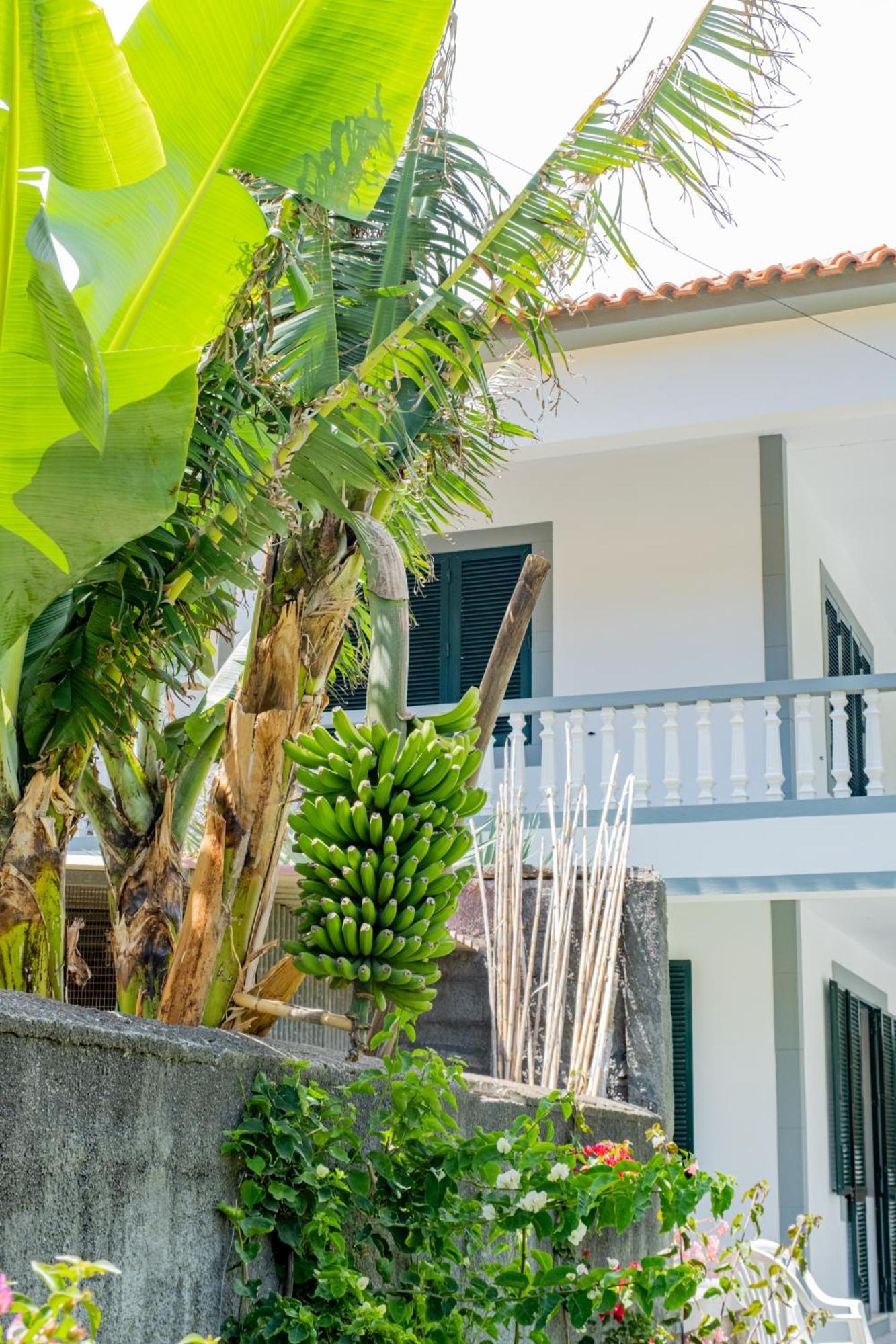 Sao Vicente Guest House Esterno foto